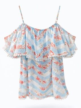 🌺 Beautiful Off Shoulder Floral Statement Top | MEDIUM | Blue Chevron Boho